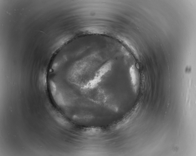 X0000103290398200809191835