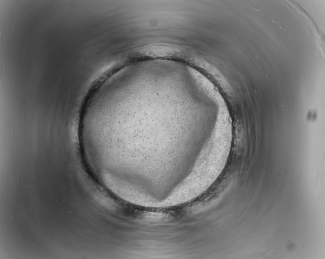 X0000103290399200809191835