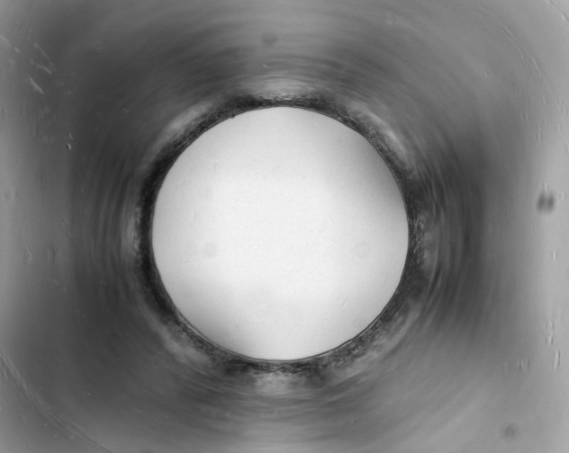 X0000103290400200809191835