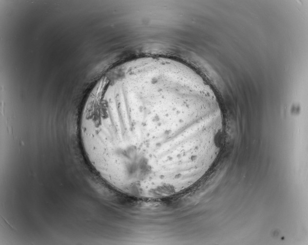 X0000103290401200809191835