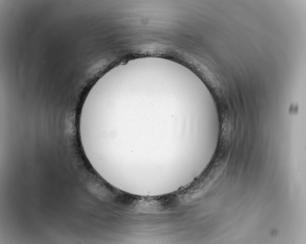 X0000103290403200809191835