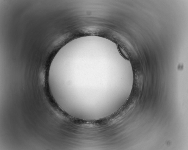 X0000103290404200809191835