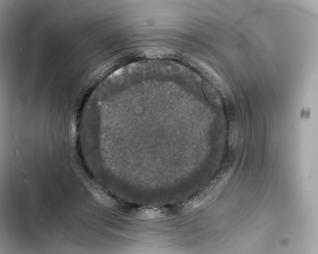 X0000103290405200809191835