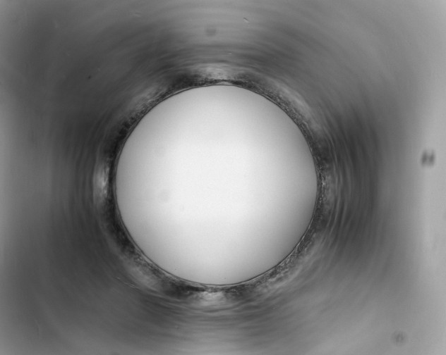 X0000103290406200809191835