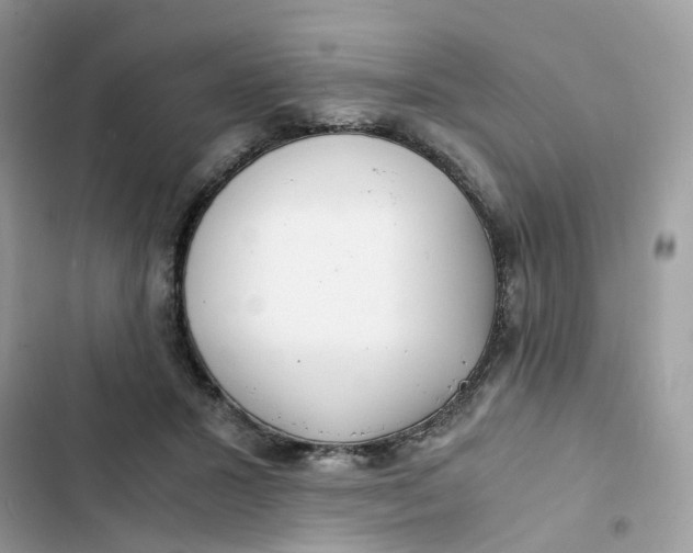 X0000103290407200809191835