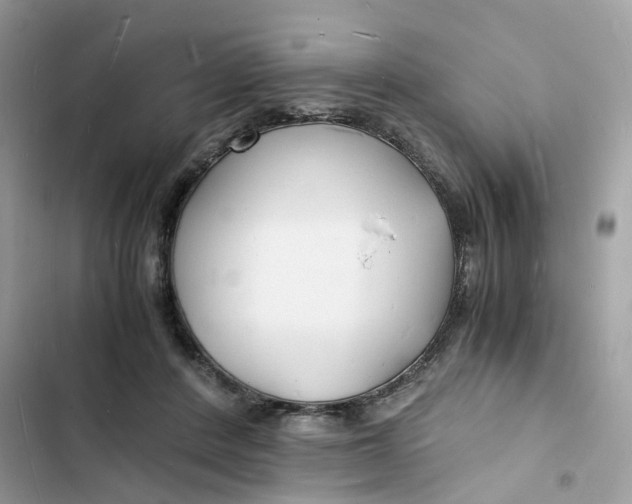 X0000103290408200809191835