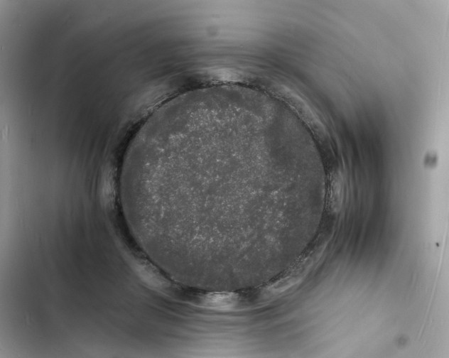 X0000103290410200809191835