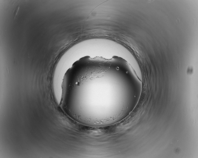 X0000103290411200809191835