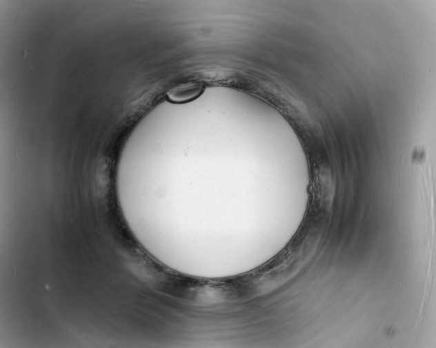 X0000103290412200809191835