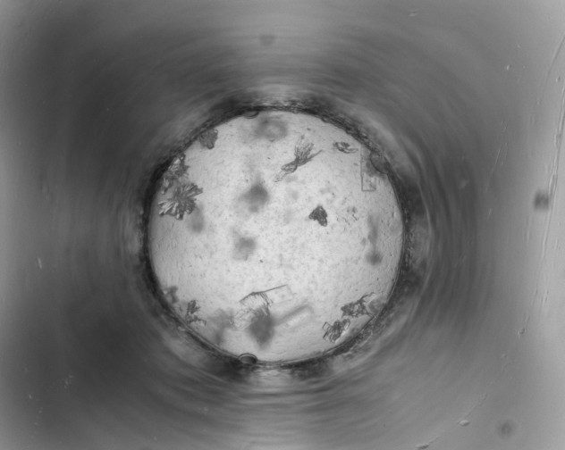 X0000103290413200809191835