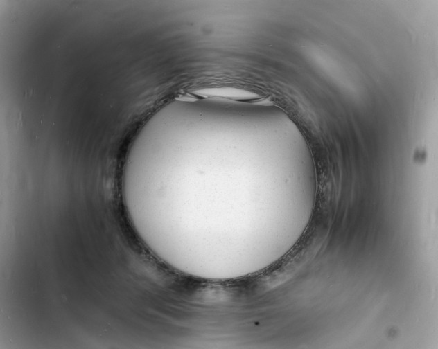 X0000103290416200809191835