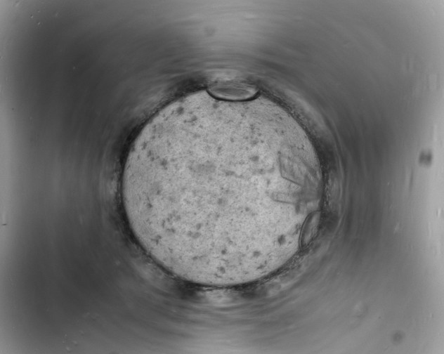 X0000103290417200809191835