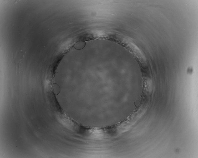 X0000103290419200809191835