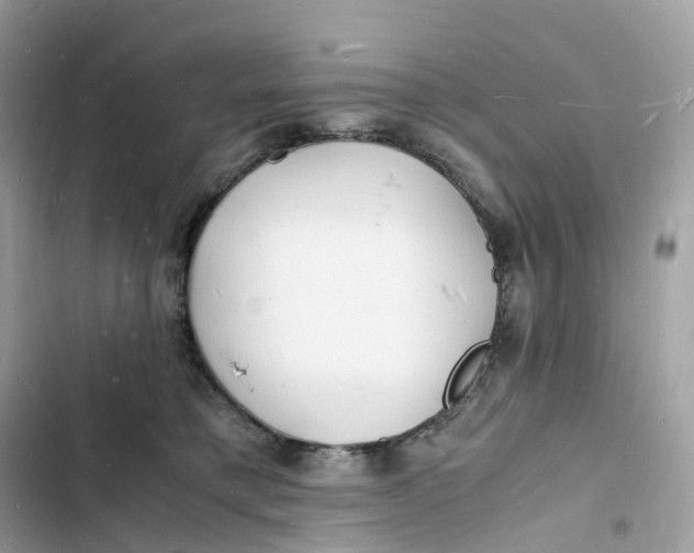 X0000103290421200809191835