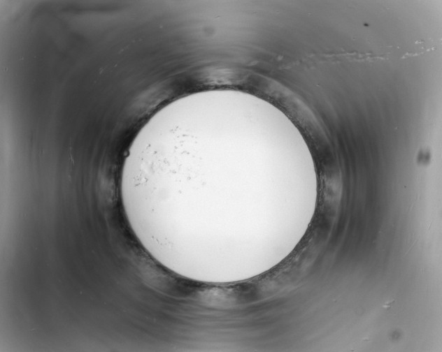 X0000103290422200809191835