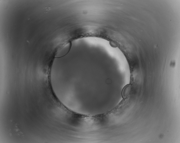 X0000103290423200809191835