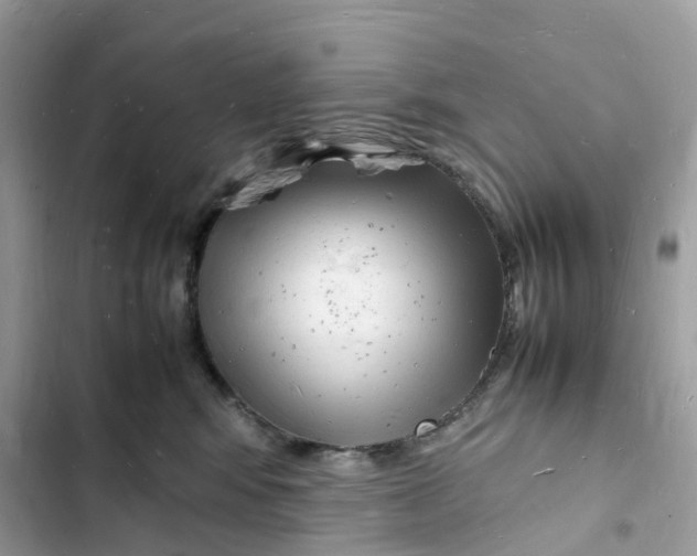 X0000103290424200809191835