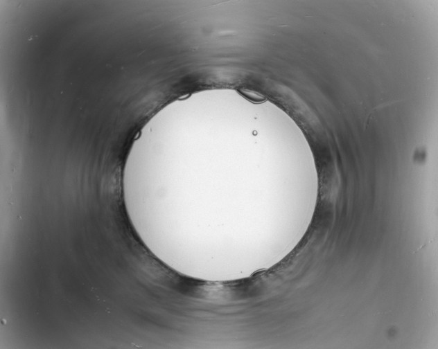 X0000103290425200809191835