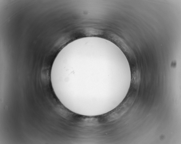 X0000103290426200809191835