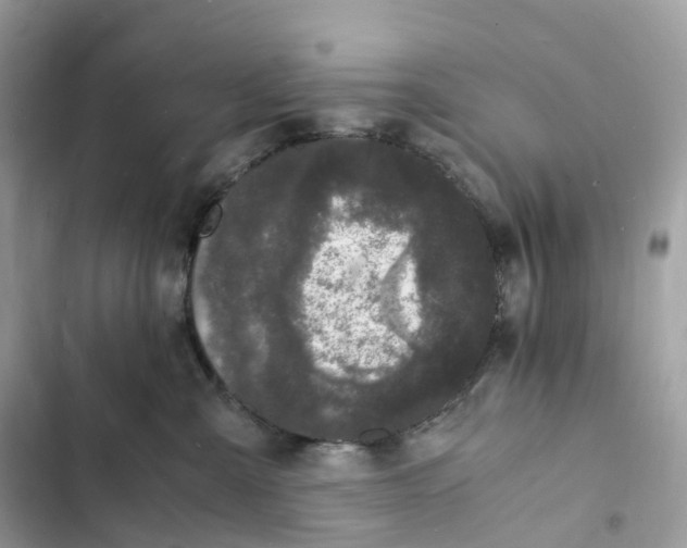 X0000103290427200809191835