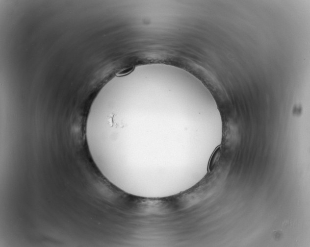 X0000103290428200809191835