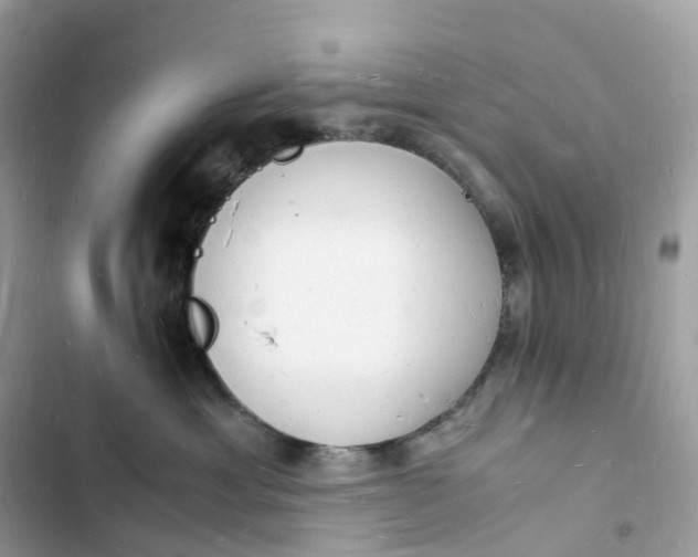 X0000103290429200809191835