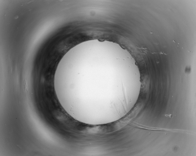 X0000103290430200809191835