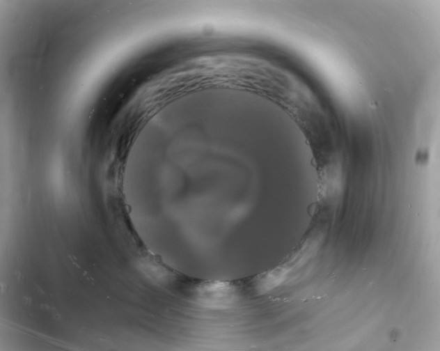 X0000103290431200809191835