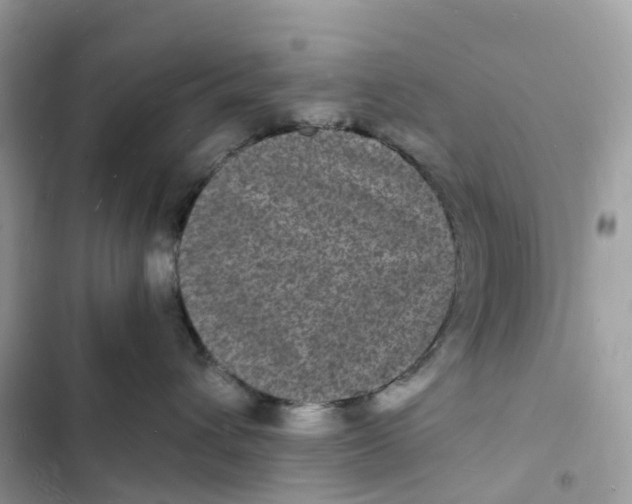 X0000103290432200809191835