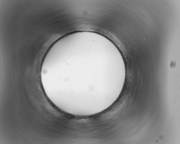 X0000103290433200809191834