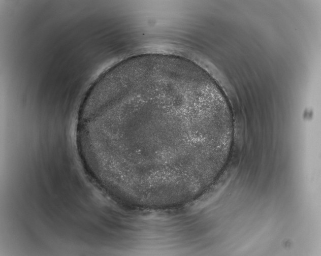 X0000103290434200809191834