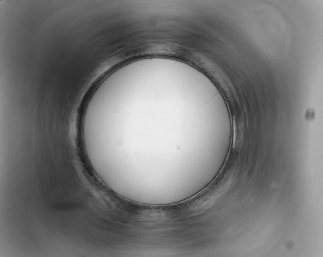 X0000103290435200809191834