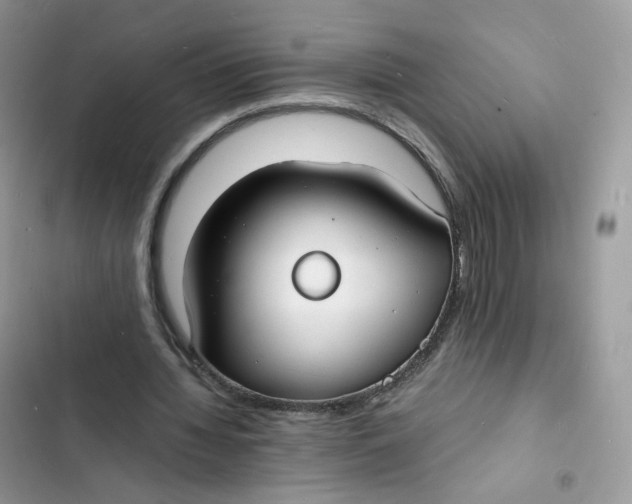 X0000103290436200809191834