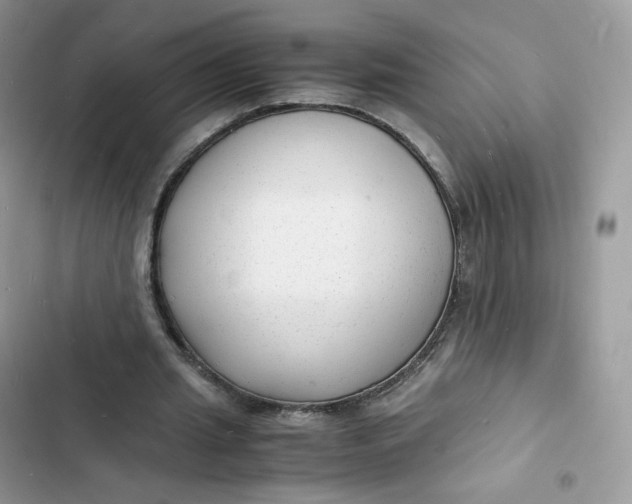 X0000103290437200809191834