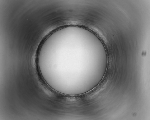 X0000103290439200809191834