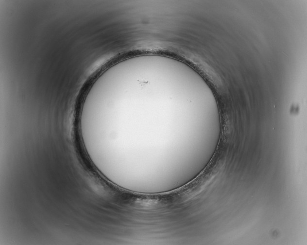 X0000103290440200809191834