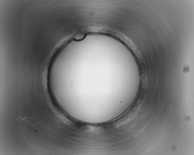 X0000103290442200809191834