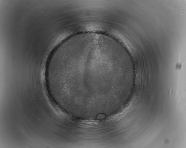 X0000103290443200809191834