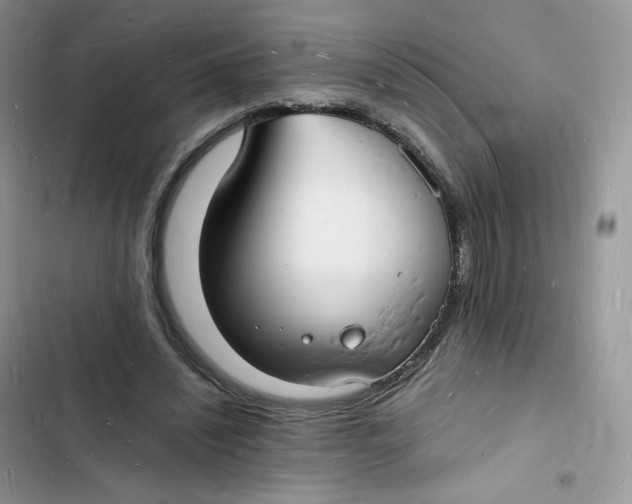 X0000103290444200809191834