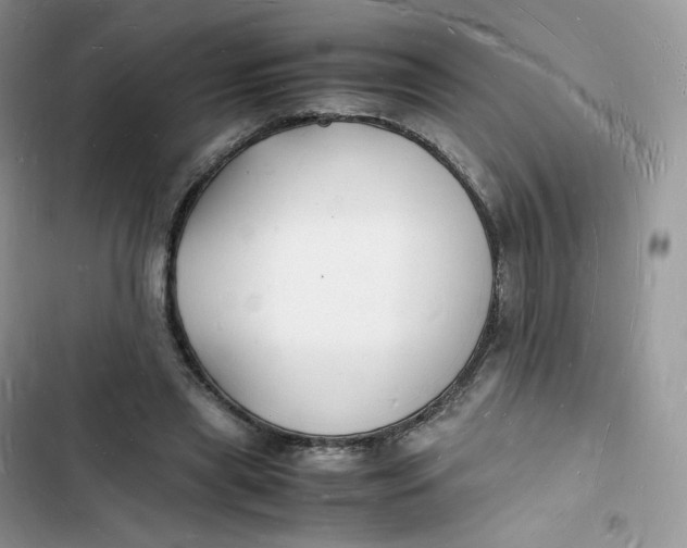 X0000103290445200809191834