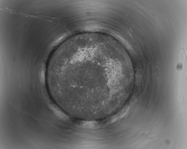 X0000103290446200809191834