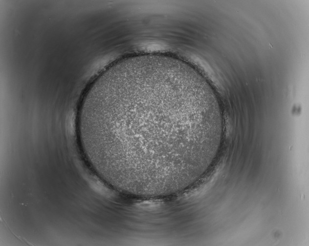 X0000103290447200809191834