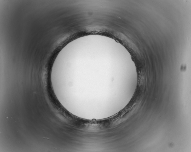 X0000103290448200809191834