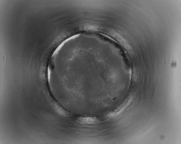 X0000103290449200809191834