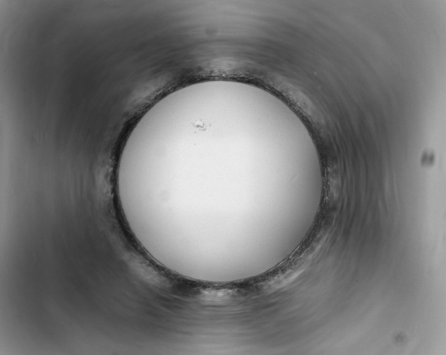 X0000103290450200809191834