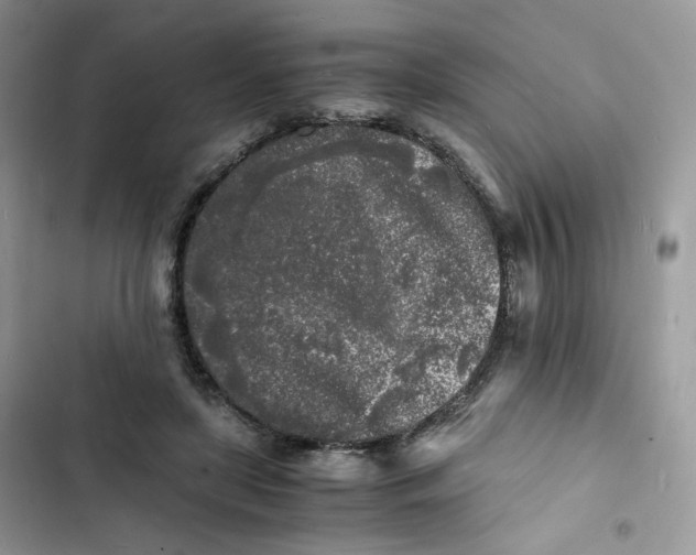 X0000103290451200809191834