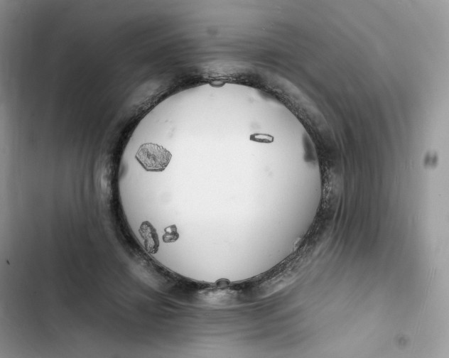 X0000103290452200809191834