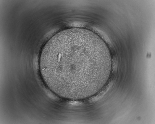 X0000103290453200809191834