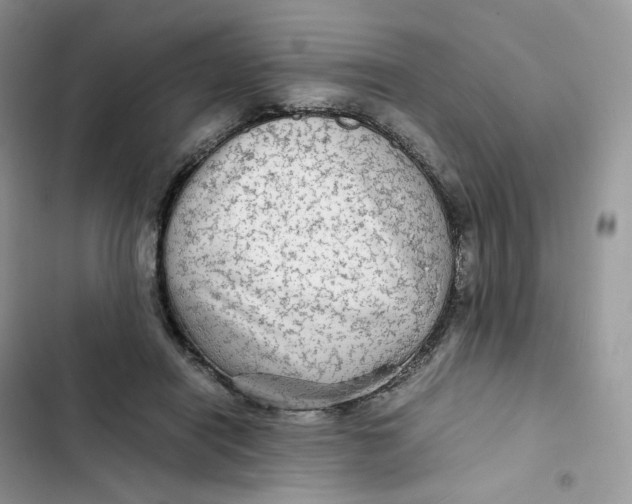 X0000103290454200809191834