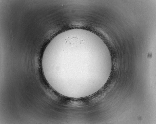 X0000103290455200809191834